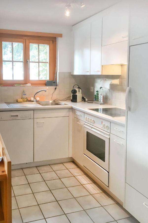 Apartment Haus Lotti Apt 203 By Interhome Schmitten  Екстер'єр фото